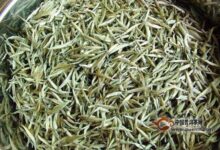 沩江白毛尖是什么样的茶-茗扬网