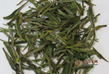 北港毛尖茶，北港毛尖茶特征、功效-茗扬网