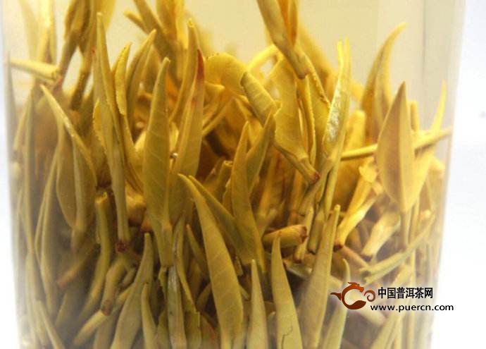 北港毛尖茶的饮用禁忌