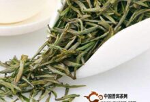 北港毛尖的选购技巧-茗扬网