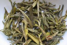 北港毛尖属于什么茶-茗扬网