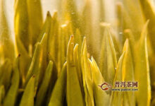 蒙顶黄芽好喝吗？蒙顶黄芽这样泡才好喝！-茗扬网
