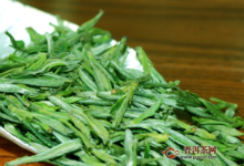 蒙顶黄芽怎么储存？储存注意事项-茗扬网