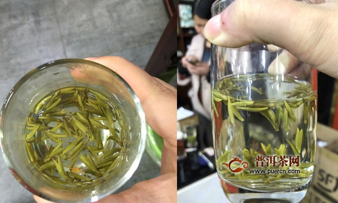 蒙顶黄芽孕妇能喝吗？哪些人不能喝？
