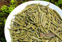 蒙顶黄芽真的好吗?千年贡茶很好!-茗扬网