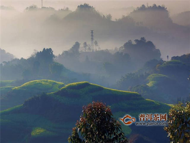蒙顶黄芽的产地：四川省名山县蒙顶山山区