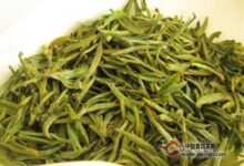 远安鹿苑毛尖茶怎么样,是不是好茶?-茗扬网