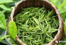 天目青顶怎么泡 天目青顶属于什么茶-茗扬网