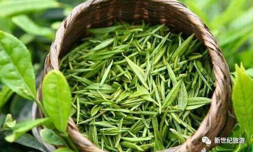天目青顶怎么泡 天目青顶属于什么茶