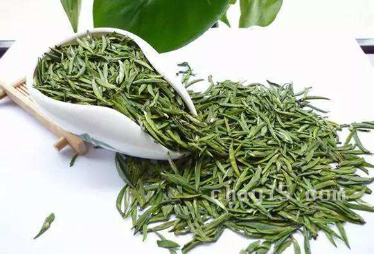通天岩茶的功效与作用 通天岩茶的禁忌事项
