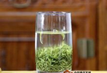 如何挑选正宗紫阳毛尖-茗扬网