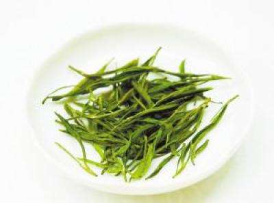 通天岩茶的功效与禁忌事项