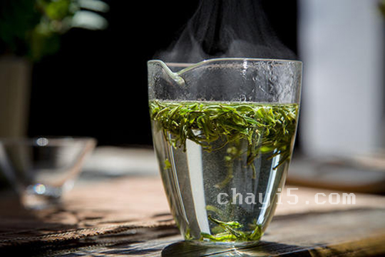 茶叶通天岩茶的作用与禁忌