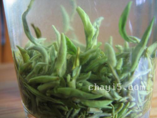 茶叶通天岩茶的作用与禁忌