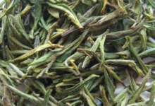 霍山黄芽怎么保存 有什么禁忌-茗扬网