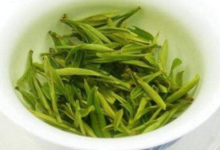 霍山黄芽是什么茶 多少钱一斤-茗扬网