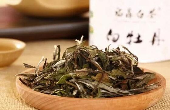 月光白牡丹泡水喝的功效与作用