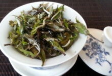 白牡丹茶是什么茶 怎么冲泡-茗扬网