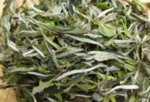 白牡丹茶保质期多久 怎么保存-茗扬网