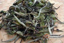 2018年白牡丹多少钱一斤-茗扬网