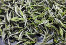 白牡丹多少钱一斤-茗扬网