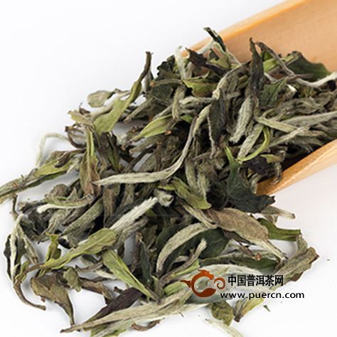 白牡丹价格