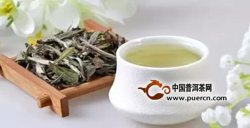 白牡丹价格