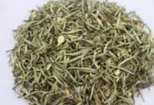 茉莉银针和白毫银针的区别-茗扬网
