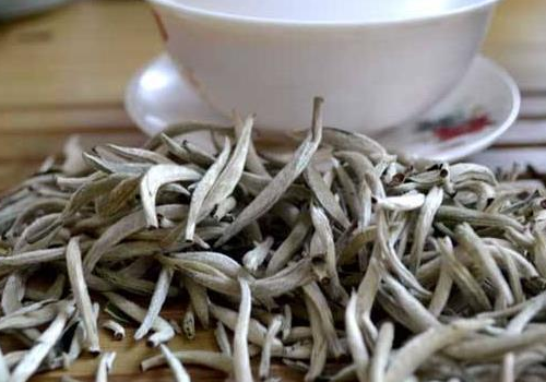 白毫银针属于什么茶 散茶贵还是茶饼贵呢