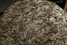 白毫银针如何选购 多少钱一斤-茗扬网