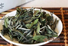 白牡丹跟白毫银针的区别-茗扬网