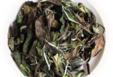 小白贡眉：半晒半晾，不炒不揉-茗扬网