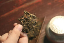 二十载贡眉,致敬时光——品湖林茶厂20年陈贡眉-茗扬网