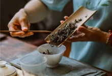 贡眉怎么泡好喝？这样泡茶韵正浓！-茗扬网