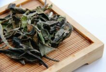 贡眉和寿眉的区别 贡眉和寿眉哪个好-茗扬网