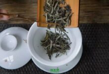 寿眉和贡眉的区别 先有的贡眉还是寿眉?-茗扬网