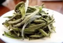 新白茶怎么煮 新白茶的正确煮法-茗扬网