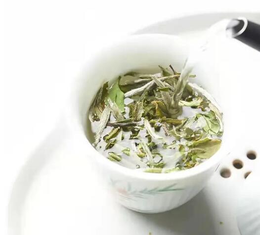 新白茶怎么煮 新白茶的正确煮法