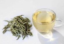 新白茶的功效与作用 喝新白茶的好处-茗扬网