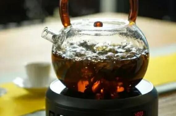 新白茶怎么煮 新白茶的正确泡法