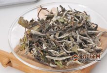 新白茶的冲泡时间-茗扬网