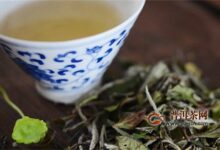 新白茶冲泡需要注意什么？-茗扬网