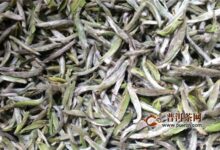 新白茶散茶有什么功效?-茗扬网