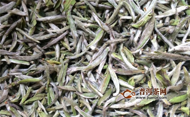 新白茶散茶有什么功效？