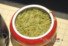 新白茶的功效与作用是什么-茗扬网
