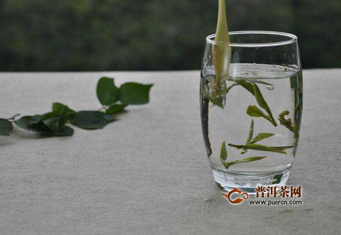 新白茶可以煮吗？新白茶怎么冲泡