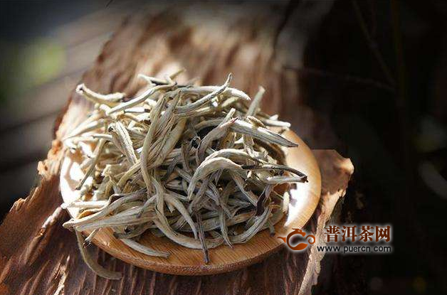 新白茶可以煮吗？新白茶怎么冲泡