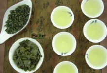 普洱茶和铁观音的区别是什么-茗扬网
