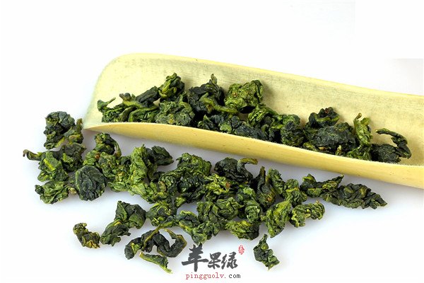 铁观音茶的泡制方法和功效