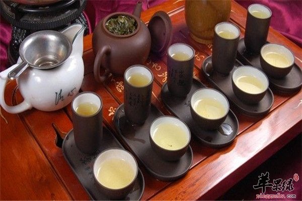 铁观音茶的泡制方法和功效